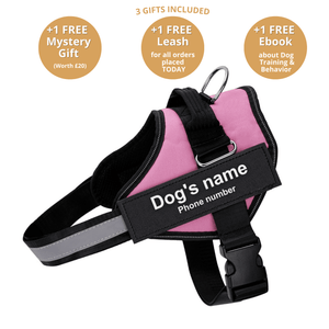 DoggyKings™ Ultimate Personalized No Pull Dog Harness