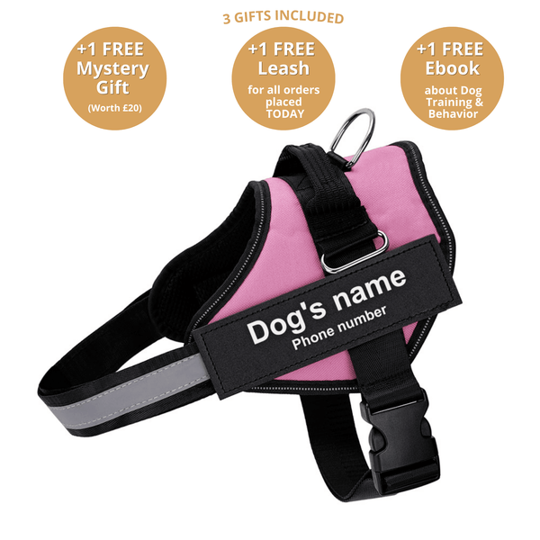 DoggyKings™ Ultimate Personalized No Pull Dog Harness