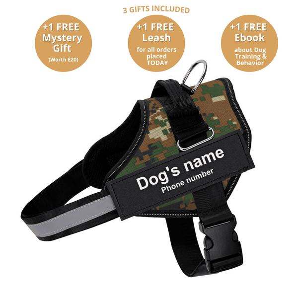 DoggyKings™ Ultimate Personalized No Pull Dog Harness