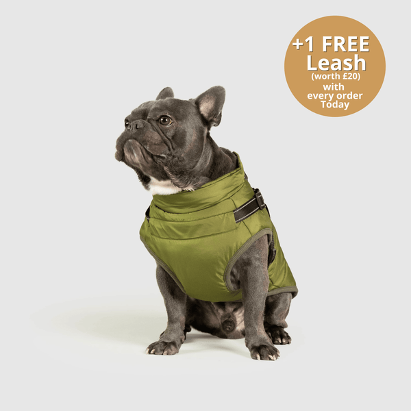 DoggyKings™ 3 in 1 Jacket