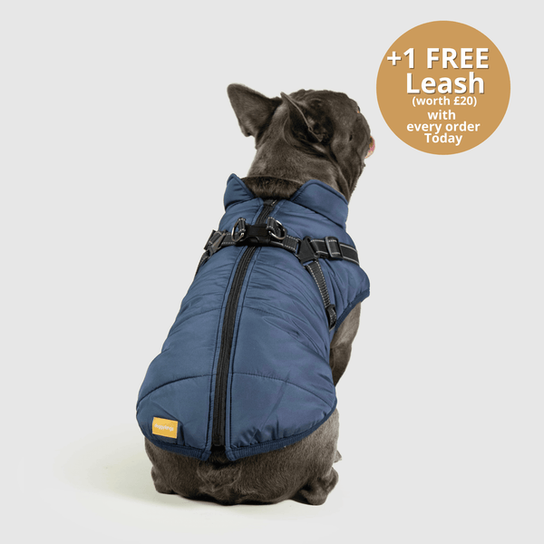 DoggyKings™ 3 in 1 Jacket