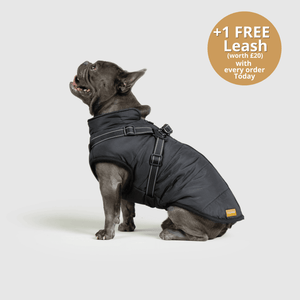 DoggyKings™ 3 in 1 Jacket