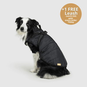 DoggyKings™ 3 in 1 Jacket
