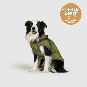 DoggyKings™ 3 in 1 Jacket