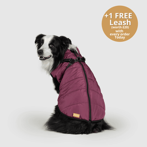 DoggyKings™ 3 in 1 Jacket