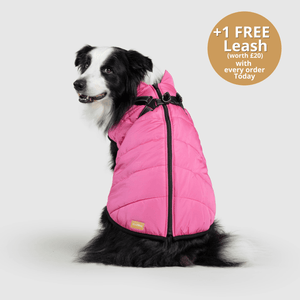 DoggyKings™ 3 in 1 Jacket