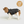 Load image into Gallery viewer, DoggyKings™ 3 in 1 Jacket