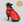 Load image into Gallery viewer, DoggyKings™ 3 in 1 Jacket
