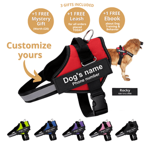 DoggyKings™ Ultimate Personalized No Pull Dog Harness