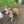 Load image into Gallery viewer, DoggyKings™ Ultimate Personalized No Pull Dog Harness