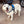 Load image into Gallery viewer, DoggyKings™ Ultimate Personalized No Pull Dog Harness
