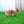Load image into Gallery viewer, DoggyKings™ Ultimate Personalized No Pull Dog Harness