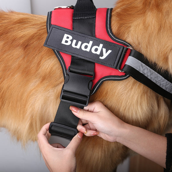 Dog harness with adjustable straps