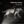 Load image into Gallery viewer, Dog harness for running