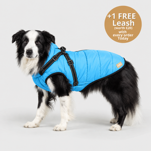 DoggyKings™ 3 in 1 Jacket