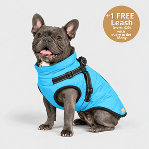 DoggyKings™ 3 in 1 Jacket