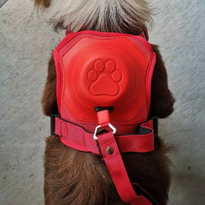 DoggyKings™ 3 in 1 Dog Harness with Built-In Leash