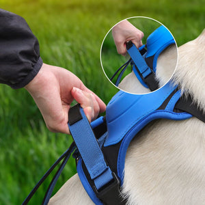DoggyKings™ 3 in 1 Dog Harness with Built-In Leash