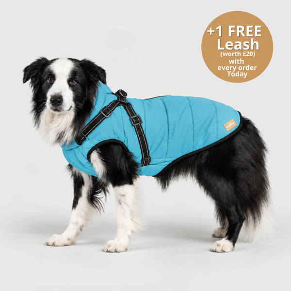 DoggyKings™ 3 in 1 Jacket