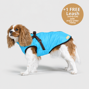 DoggyKings™ 3 in 1 Jacket