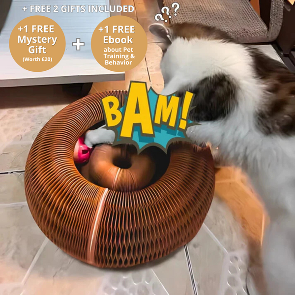 Doggykings™ Kitty Kurlz
