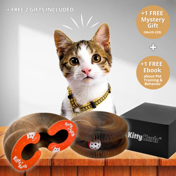 Doggykings™ Kitty Kurlz