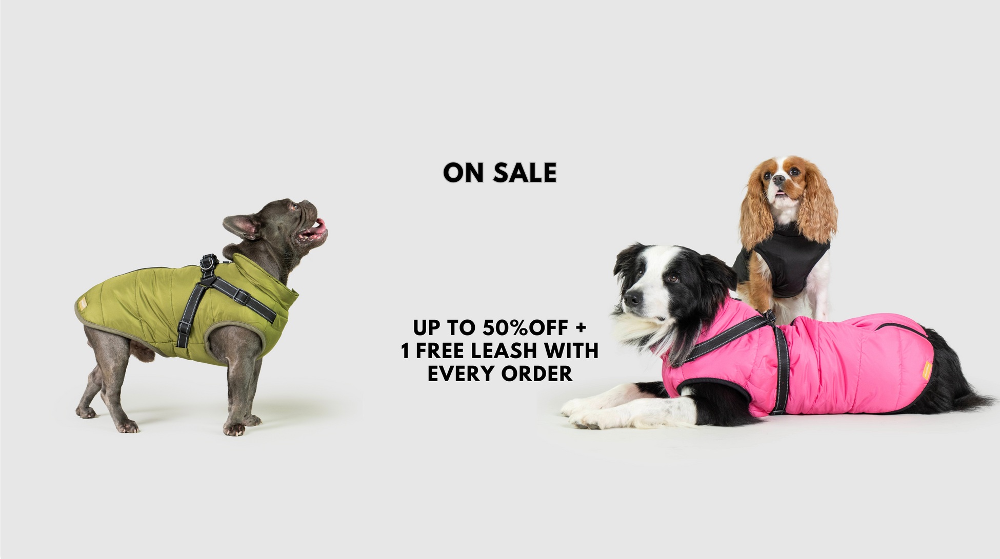 Dog jackets sale