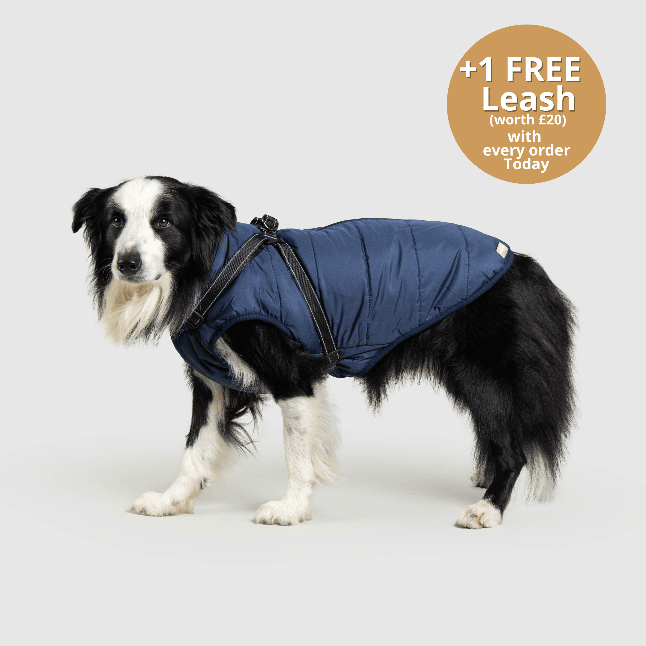 DoggyKings™ 3 in 1 Jacket