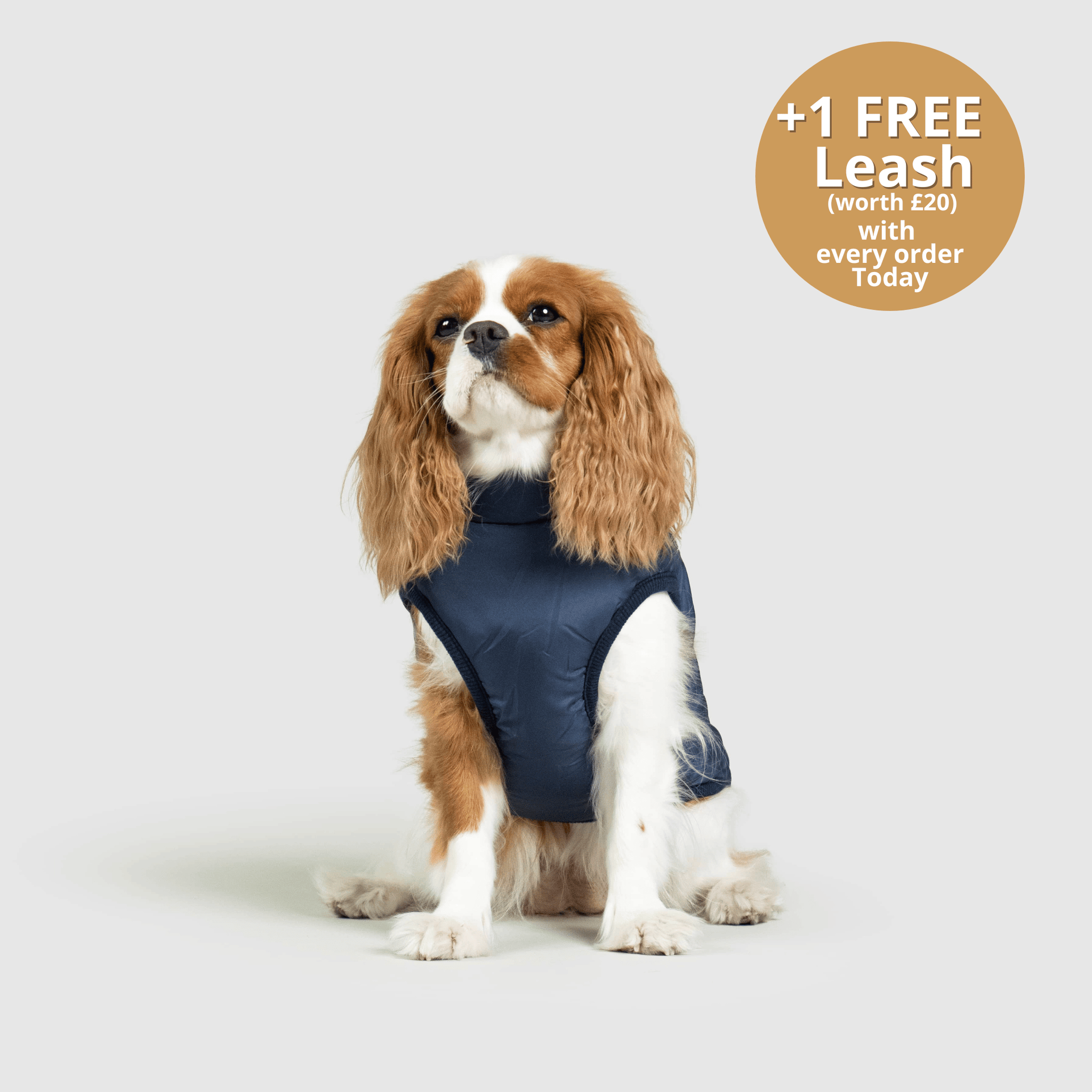 DoggyKings™ 3 in 1 Jacket