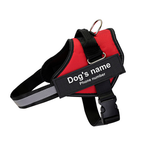 DoggyKings™ Ultimate Personalized No Pull Dog Harness