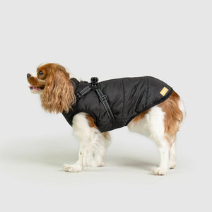 DoggyKings™ 3 in 1 Jacket