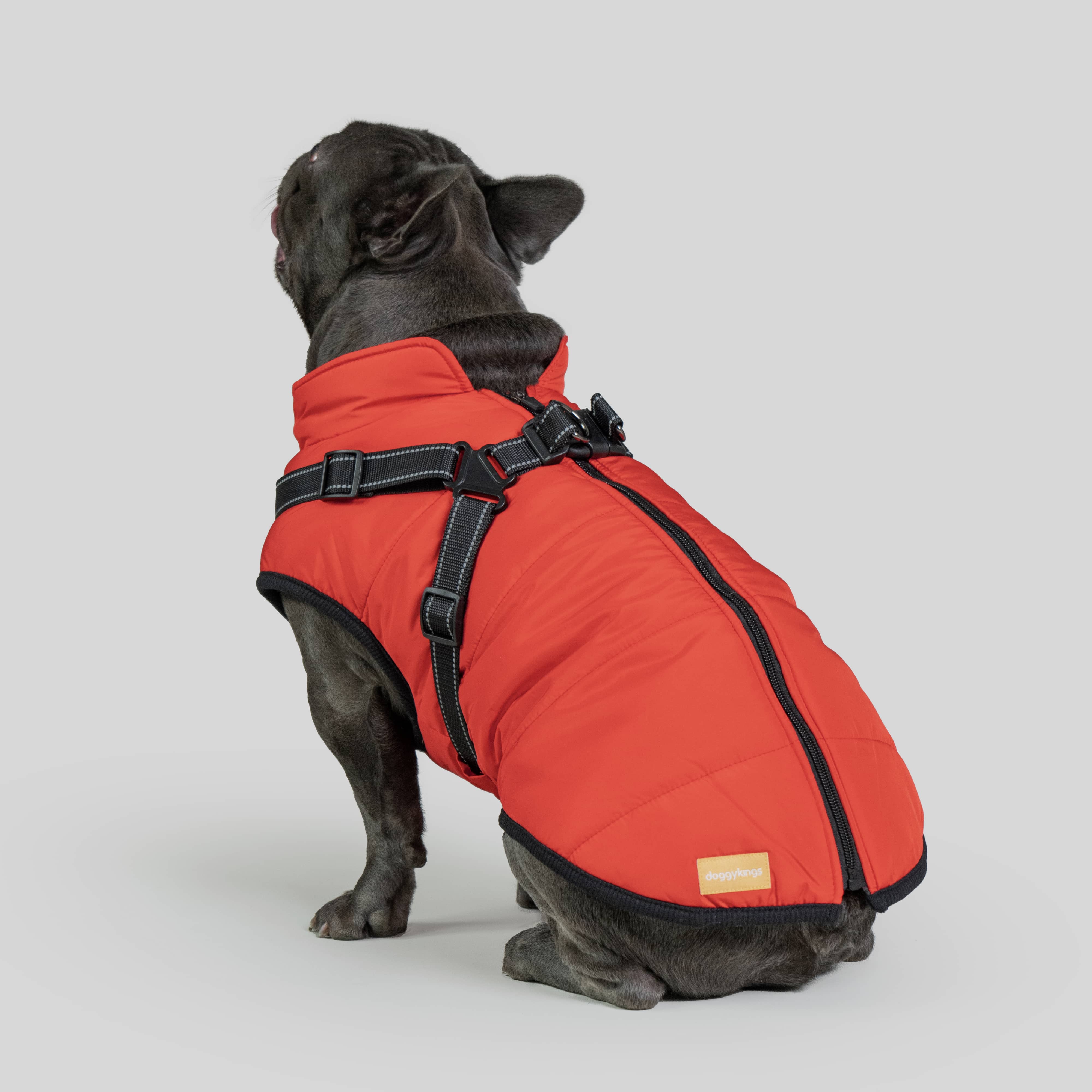 DoggyKings™ 3 in 1 Jacket