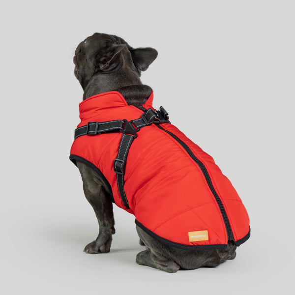 DoggyKings 3 In 1 Jacket doggykings-3-in-1-jacket