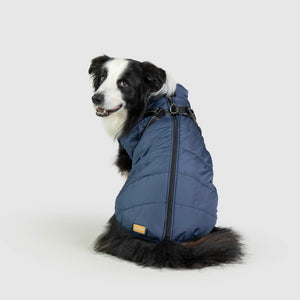 DoggyKings™ 3 in 1 Jacket