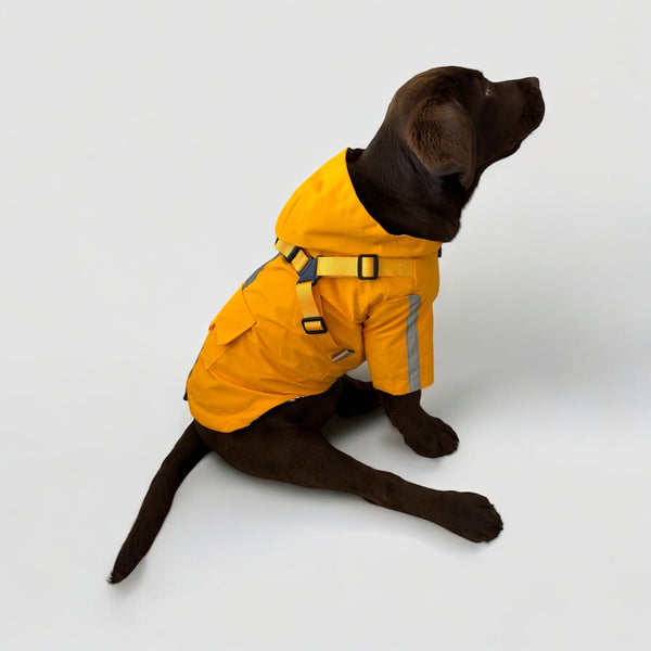 DoggyKings™ 3 in 1 Rain Coat