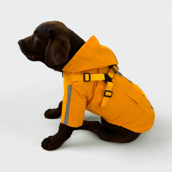 DoggyKings™ 3 in 1 Rain Coat