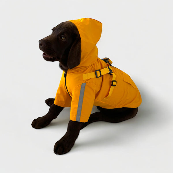 DoggyKings™ 3 in 1 Rain Coat