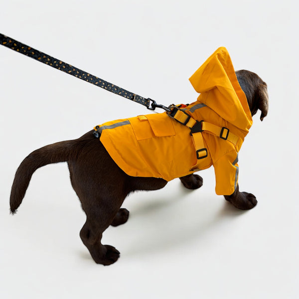 DoggyKings™ 3 in 1 Rain Coat