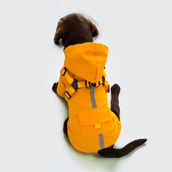 DoggyKings™ 3 in 1 Rain Coat