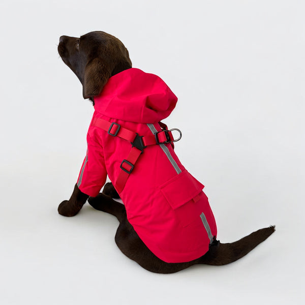 DoggyKings™ 3 in 1 Rain Coat