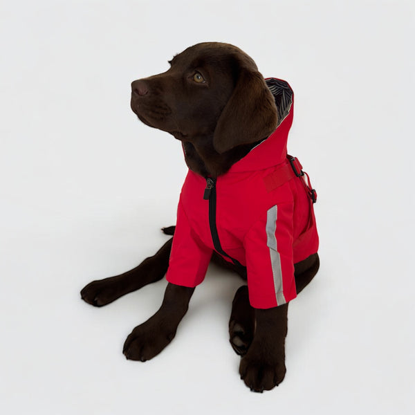 DoggyKings™ 3 in 1 Rain Coat