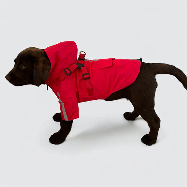 DoggyKings™ 3 in 1 Rain Coat