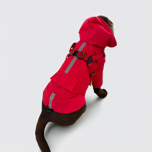 DoggyKings™ 3 in 1 Rain Coat