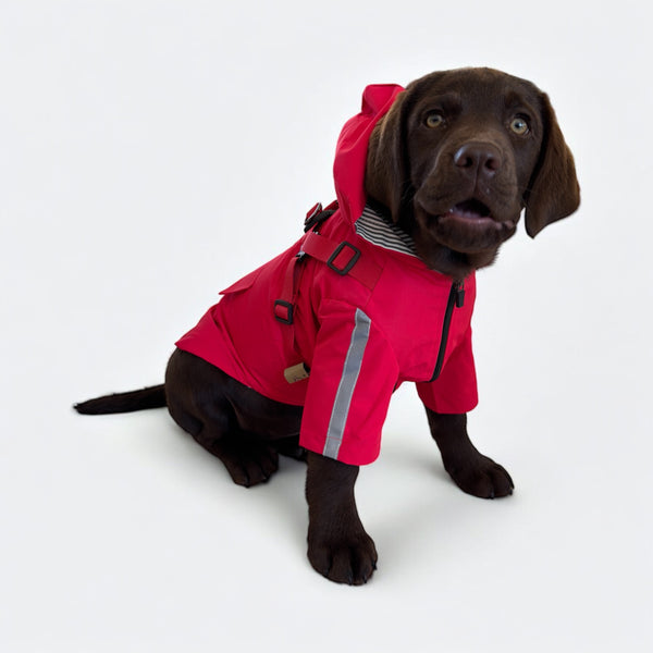 DoggyKings™ 3 in 1 Rain Coat