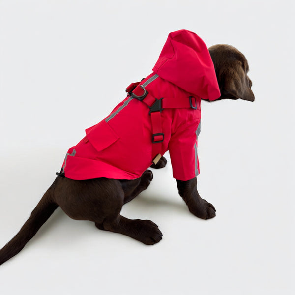 DoggyKings™ 3 in 1 Rain Coat