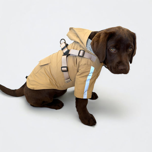 DoggyKings™ 3 in 1 Rain Coat