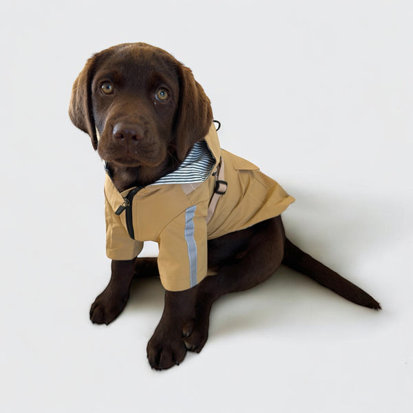 DoggyKings™ 3 in 1 Rain Coat