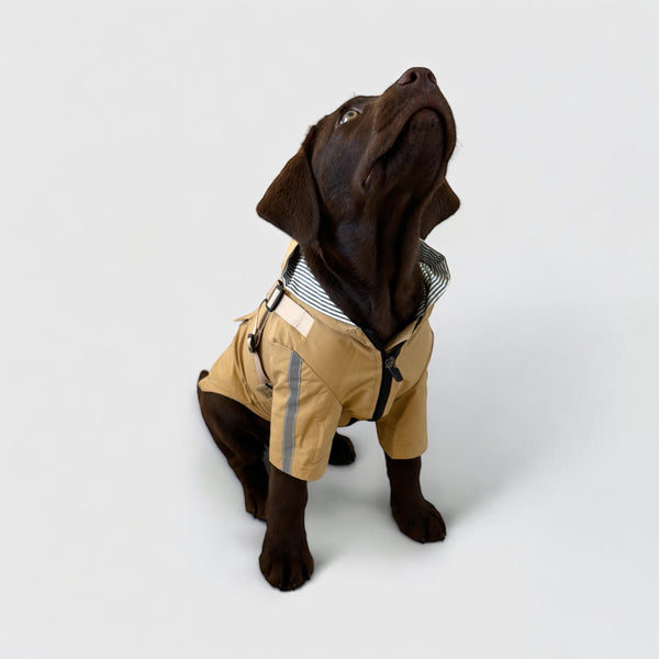 DoggyKings™ 3 in 1 Rain Coat