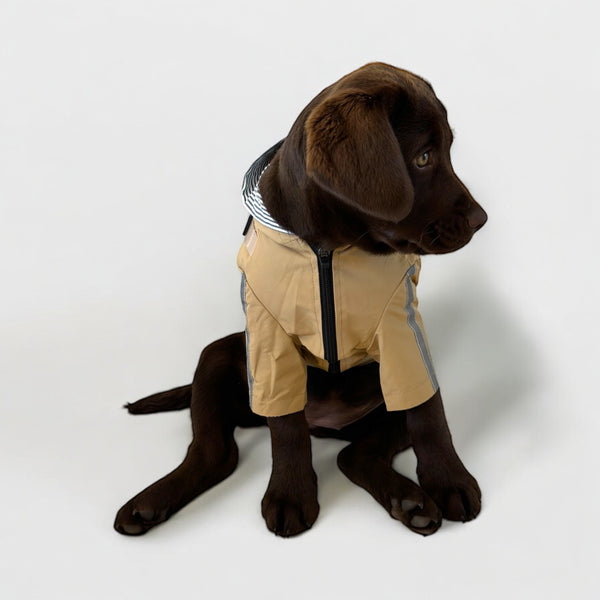 DoggyKings™ 3 in 1 Rain Coat