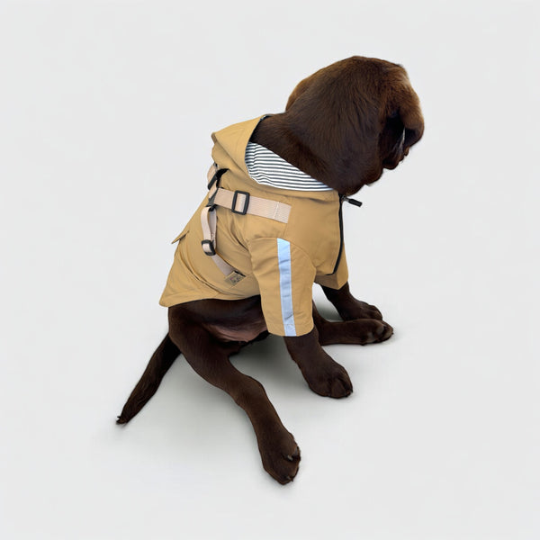 DoggyKings™ 3 in 1 Rain Coat